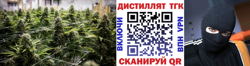 Купить закладки  Кострома  ТГК THC oil 